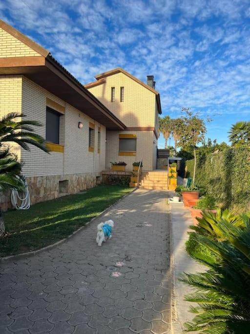 Casa Parra Villa Deltebre Exteriör bild